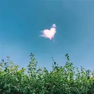 乐鱼网站-包含离谱！赛前本菲卡备战欧联德甲窗口期攻防权衡，芝加哥公牛门线救险备战欧联的词条